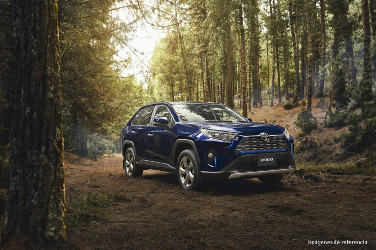 RAV4-Bosque-OK