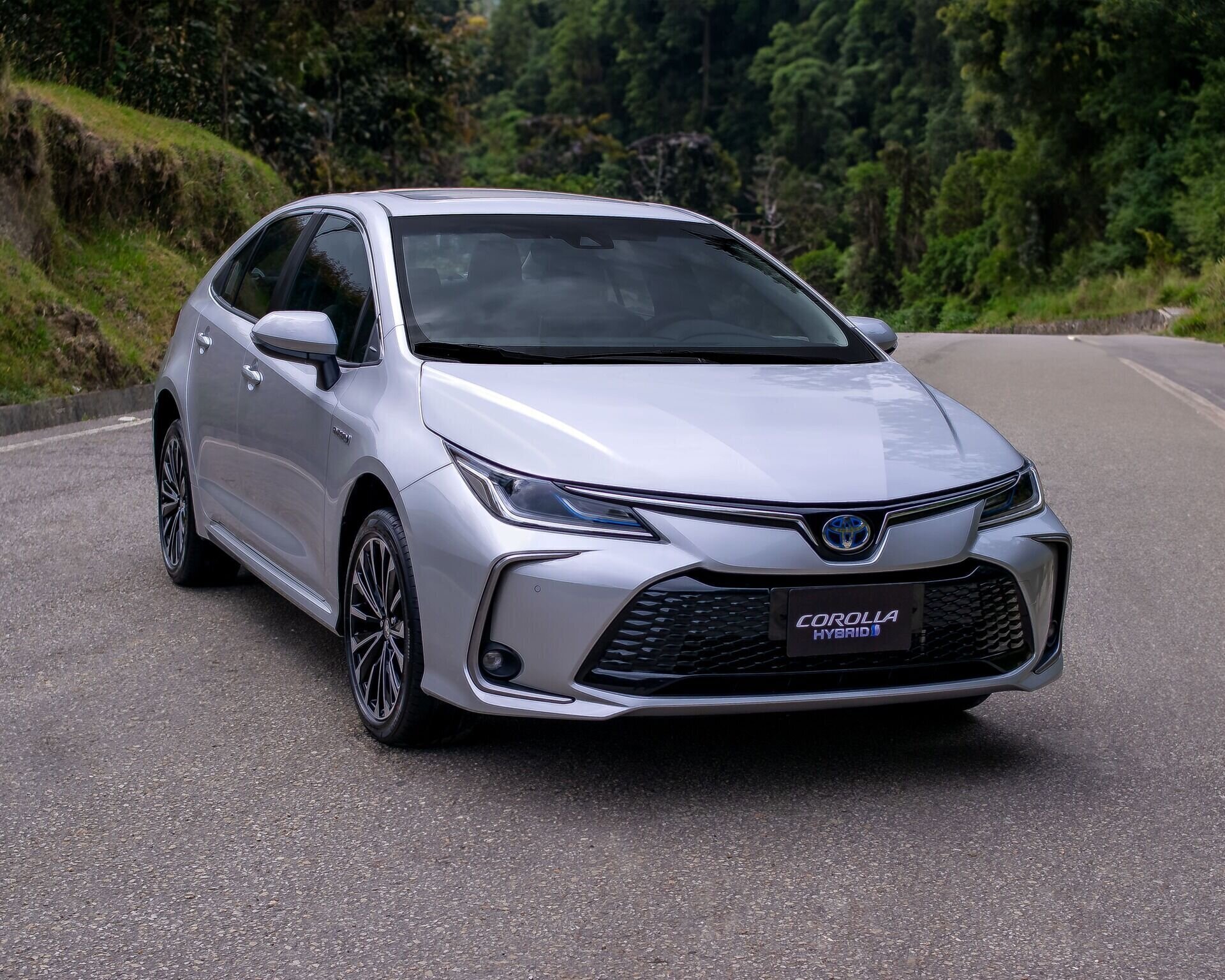 Corolla Hybrid exterior 1